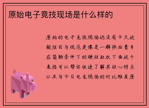 原始电子竞技现场是什么样的